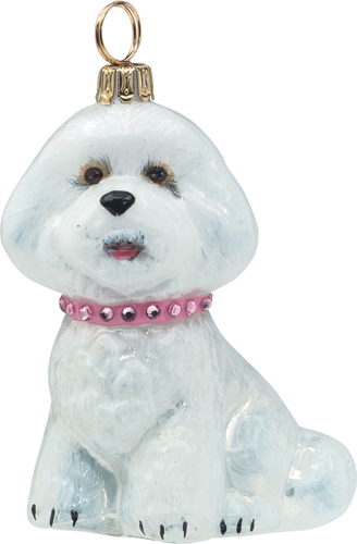 Bichon Frise Girl with Color