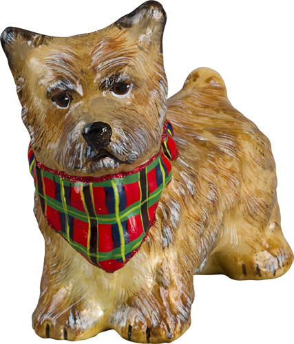 Cairn Terrier Cream with 
