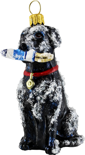 Labrador Retriever- Black with Buoy Snowy Version