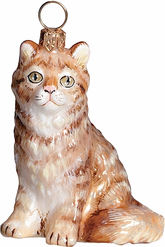 Maine Coon Cat- Red