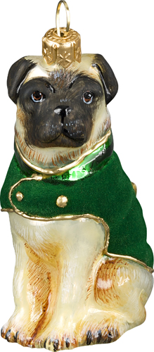 Pug Fawn with Green Velvet Coat