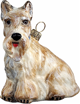 Scottish Terrier- Wheaten
