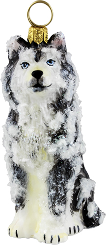 Siberian Husky- Snowy Version