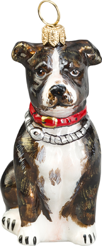American Staffordshire <br>Terrier- Brindle