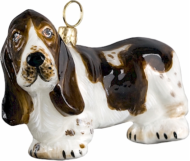 Basset Hound Standing