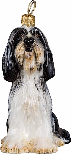 Bearded Collie