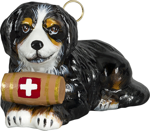 Bernese Mountain Dog