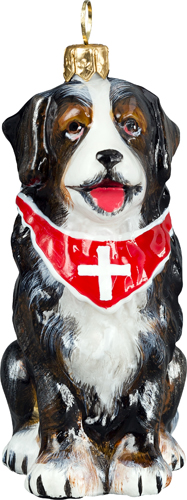 Bernese Mountain Dog Sitting