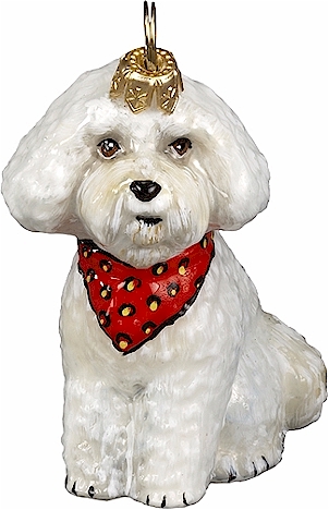 Bichon Frise Puppy <br>with Bandana
