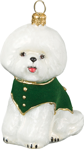 Bichon in Green Velvet Coat