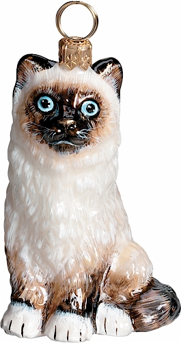 Birman Cat