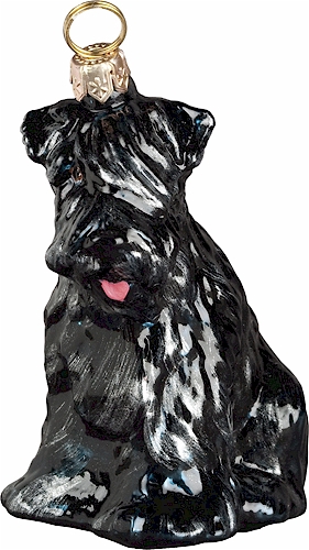Black Russian Terrier