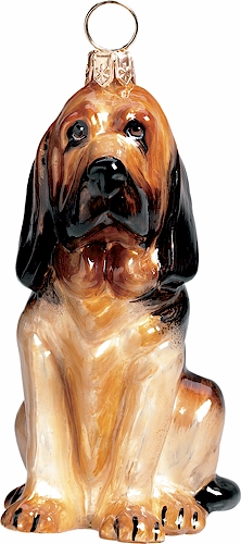 Bloodhound