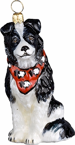 Border Collie with Sheep Bandana