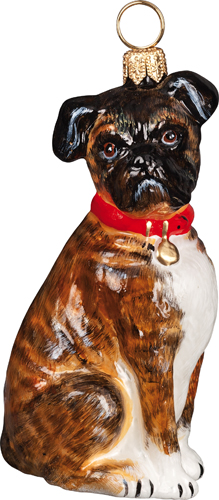 Boxer with <br>Floppy Ears Brindle