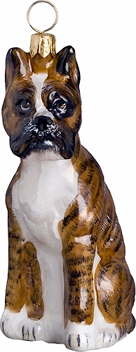 Boxer Sitting- Brindle