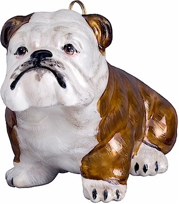 Bulldog- Brown and White