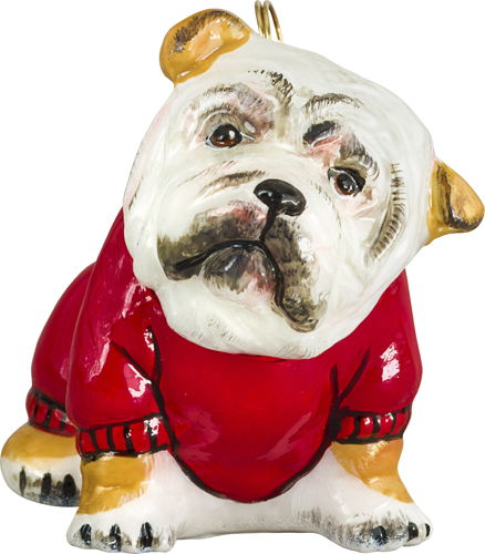Bulldog in Sweater
