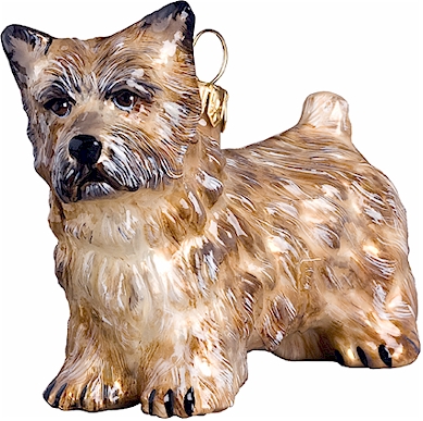 Cairn Terrier- Cream