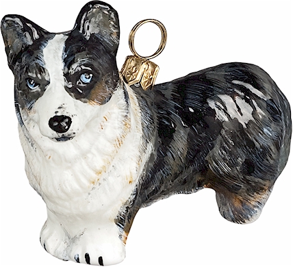 Cardigan Corgi- Blue Merle