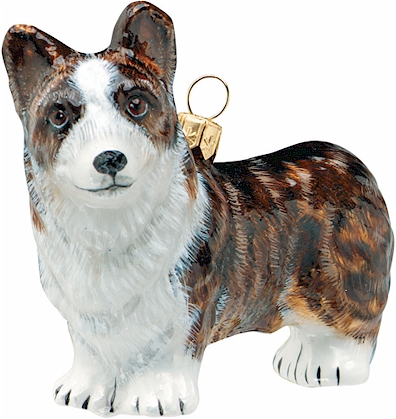 Cardigan Welsh Corgi