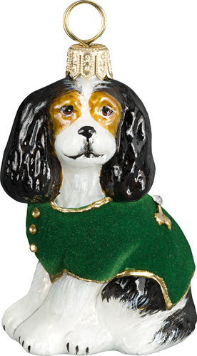 Cavalier King Charles Spaniel- Tri Color with Green Velvet Coat