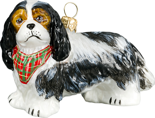 Cavalier King Charles Spaniel