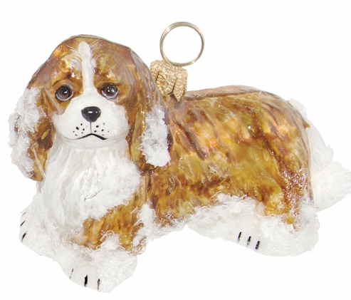 Cavalier King Blenheim- <br>Snowy Version