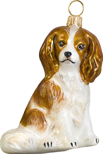 Cavalier King Charles