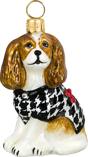 Cavalier King Charles Spaniel Blenheim with Hounds Tooth Sweater