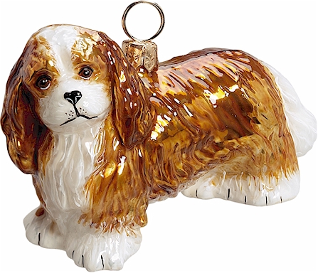 Cavalier King Charles <br>Blenheim