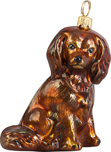 Cavalier King Charles
