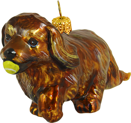 Cavalier King Charles Spaniel