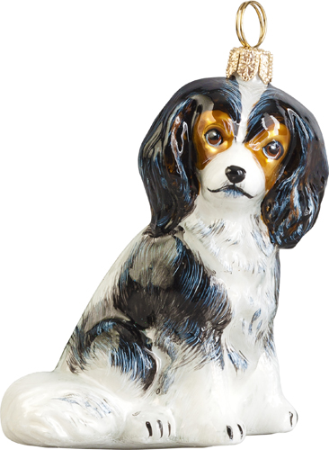 Cavalier King Charles