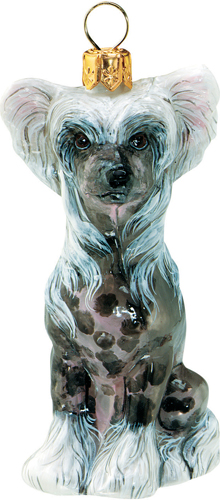 Chinese Crested