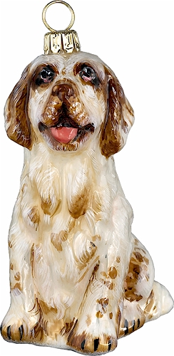 Clumber Spaniel