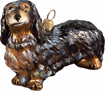 Dachshund-Longhaired Dapple