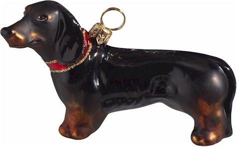 Dachshund Black