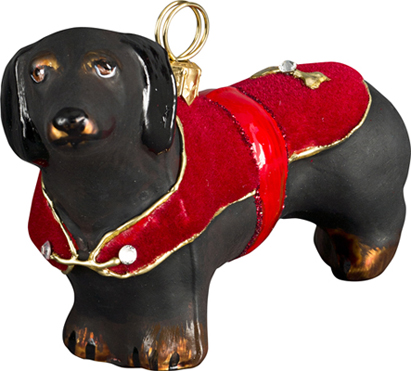 Dachshund Black with Red Velvet Coat