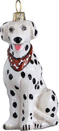 Dalmatian with Bandana