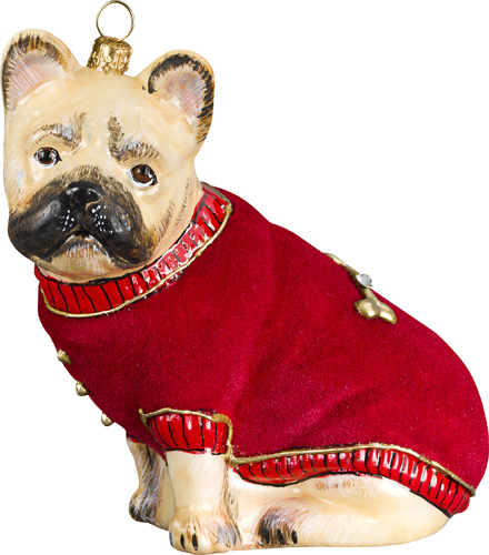 French Bulldog Fawn with Red Velvet Coat