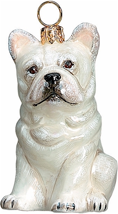 French Bulldog White