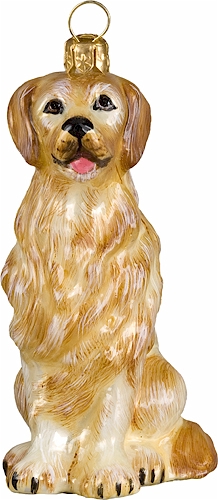 Golden Retriever 2