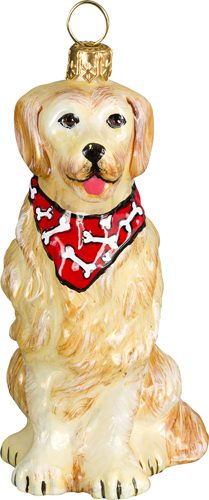 Golden Retriever <br>with Bone Bandana