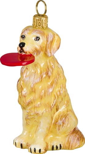Golden Retriever with Flying Disc