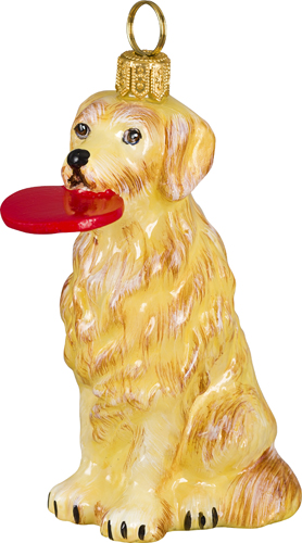 Golden Retriever <br>with Flying Disc