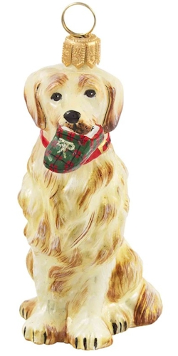 Golden Retriever with <br>Tartan Plaid Slipper