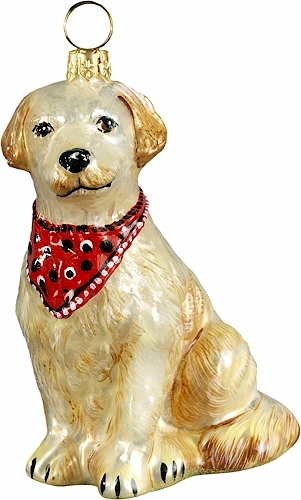 Golden Retriever <br>with Bandana