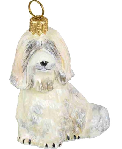 Havanese White