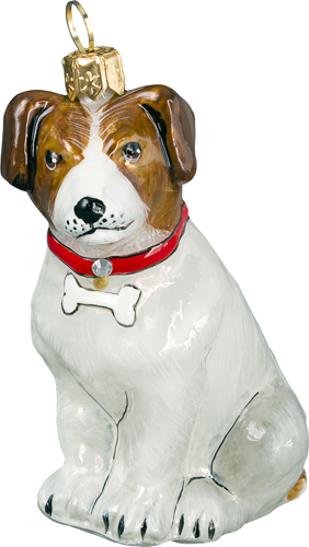 Jack Russell Terrier 